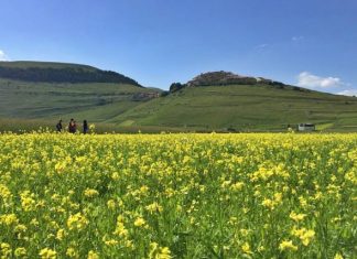 In moto tra Norcia, Castelluccio di Norcia e la Fioritura itinerario moto umbria castelluccio norcia tre valli umbre valnerina fioritura fiorita