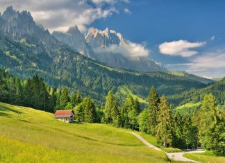 Dolomiti in moto: Passo Cereda Passo Cereda in moto