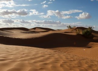 Tunisia pronta! Dal 27 giugno riaprono i confini Tunisia Deserto Turismo in moto