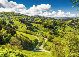 Foresta nera: guida sulla magnifica strada Schwarzwaldhochstrasse Foresta Nera Schwarzwaldhochstrasse germania itinerario viaggio moto strada