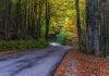 Passo della Calla: itinerario tra le foreste Casentinesi Foreste Casentinesi - passo della calla appennino tosco romagnolo