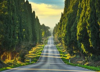 Toscana in moto tra borghi storici e spiagge bianche I cipressi di Bolgheri