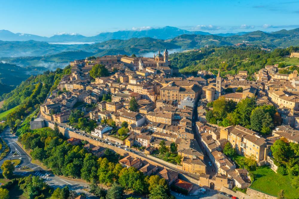 Urbino